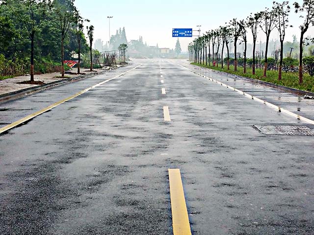 南县团结渠渠面道路